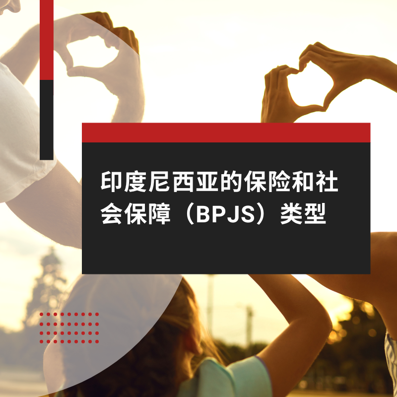 印度尼西亚的保险和社会保障（BPJS）类型