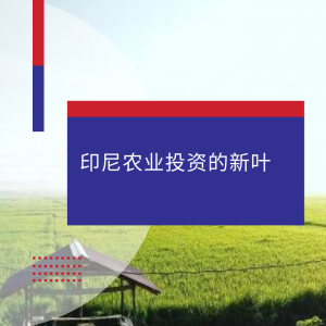 yindunixiya-nongye-touzi