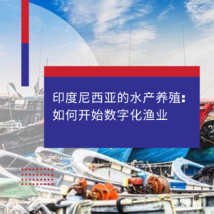 InCorp印度尼西亚