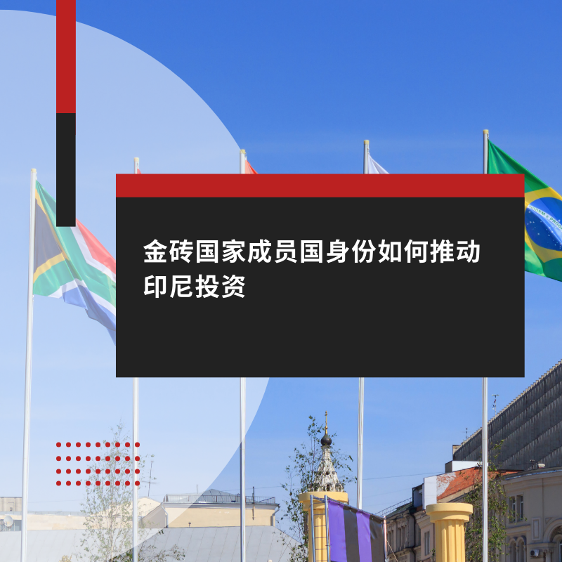 金砖国家成员国身份如何推动印尼投资
