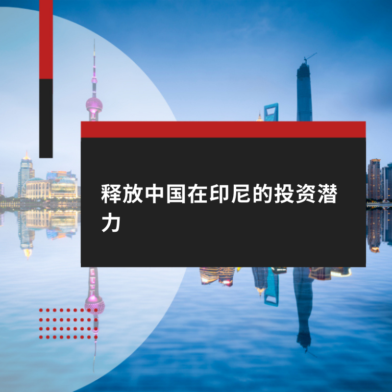 China's Investment Potential in Indonesia